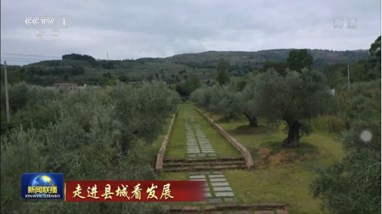 4f267924-9cb7-479d-a5d2-8bf10f95fe10