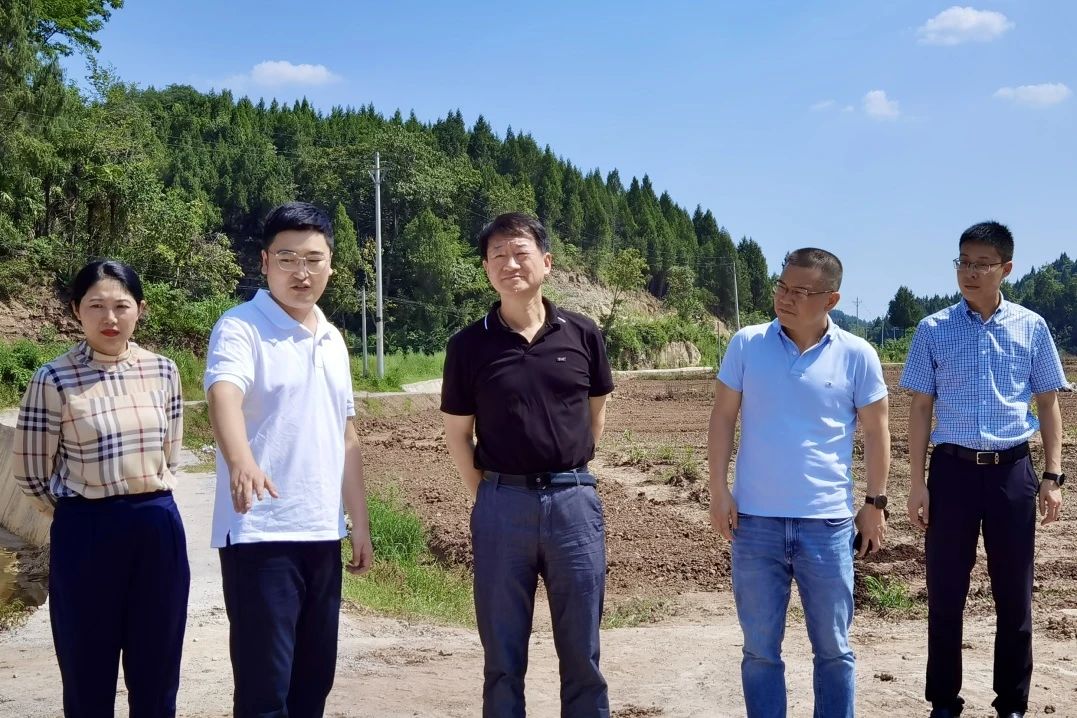 ʡطŵί³ζʶӸϳؿչ